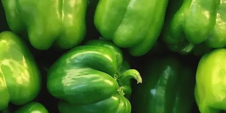 فوائد الفلفل الاخضر الكثيرة للجسم والقيمة الغذائية للفلفل الاخضر