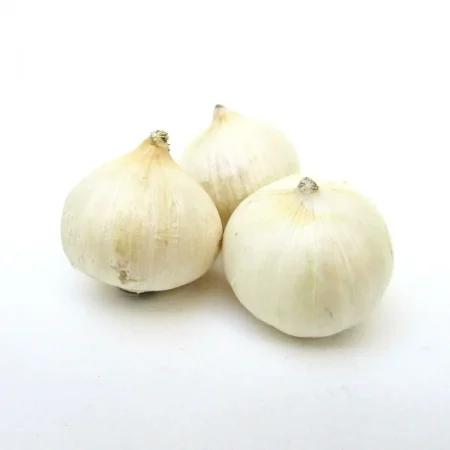 فوائد الثوم الذكر الكثيرة للجسم والقيمة الغذائية للثوم الذكر