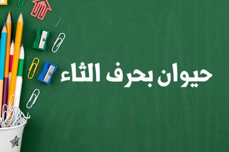 حيوان بحرف الثاء لعبة بلاد حيوان جماد