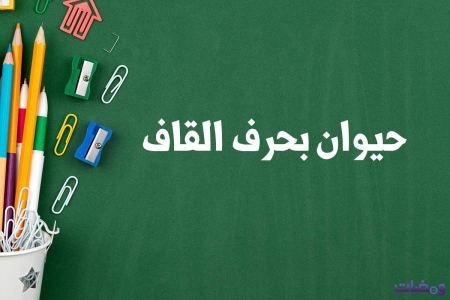 حيوان بحرف القاف لعبة بلاد حيوان جماد