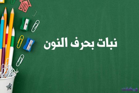 نبات بحرف النون لعبة بلاد حيوان جماد