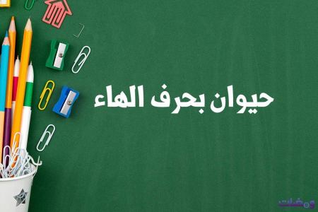 حيوان بحرف الهاء لعبة بلاد حيوان جماد