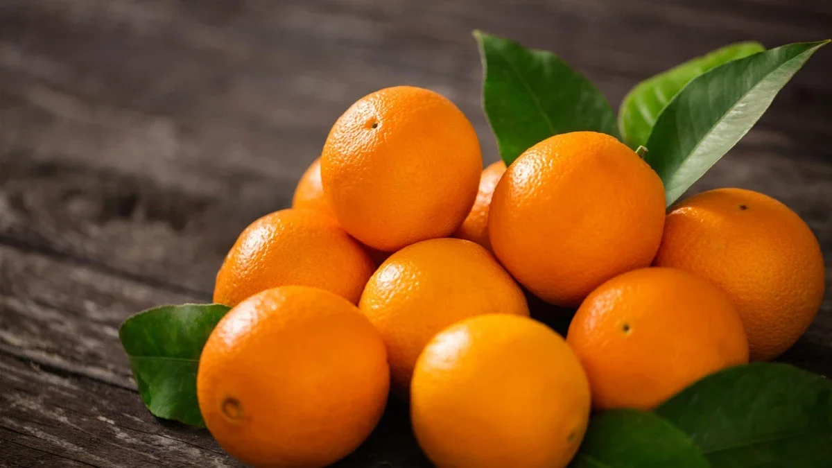 فوائد البرتقال الكثيرة للجسم والقيمة الغذائية للبرتقال
