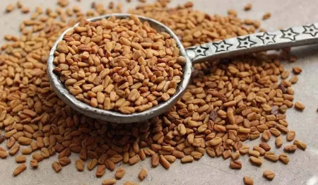 فوائد الحلبة لجسم الإنسان وقيمتها الغذائية وطريقة استخدامها